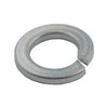 HOBART, WL-003-09 - LOCKWASHER